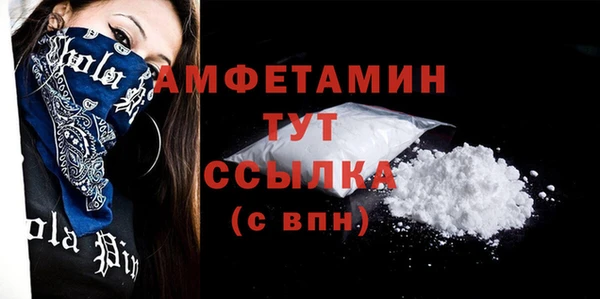 гашик Новодвинск