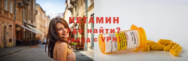 твердый Новозыбков
