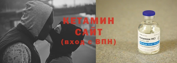 твердый Новозыбков