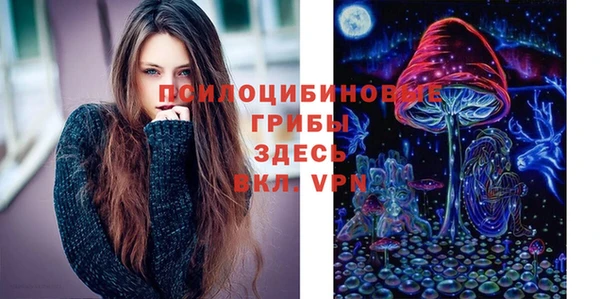 круглые Алексин