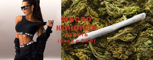гашик Новодвинск
